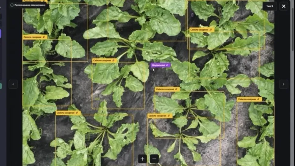 архив компании «Геомир»