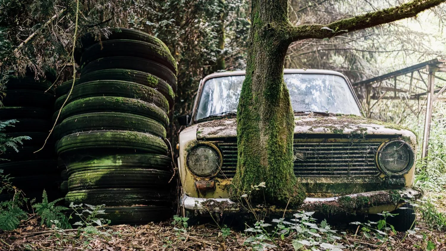 медиасток.рф