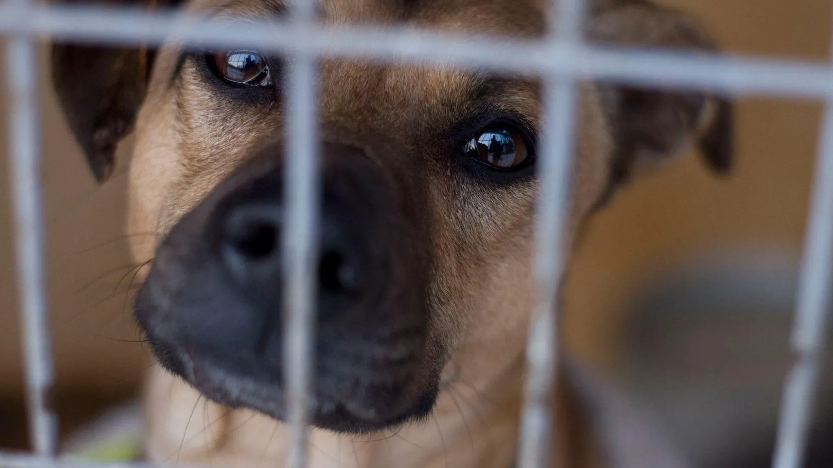 медиасток.рф