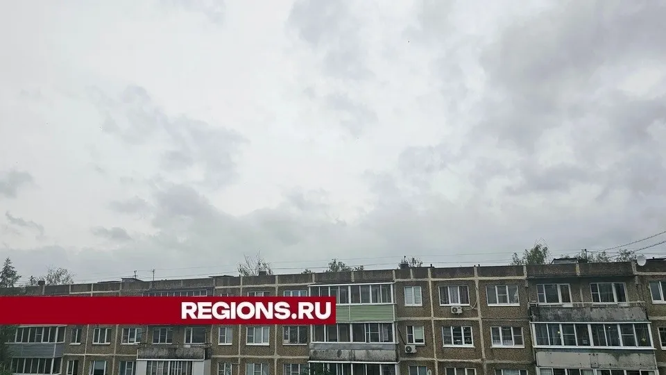 Фото: REGIONS/Александр Дрожжин