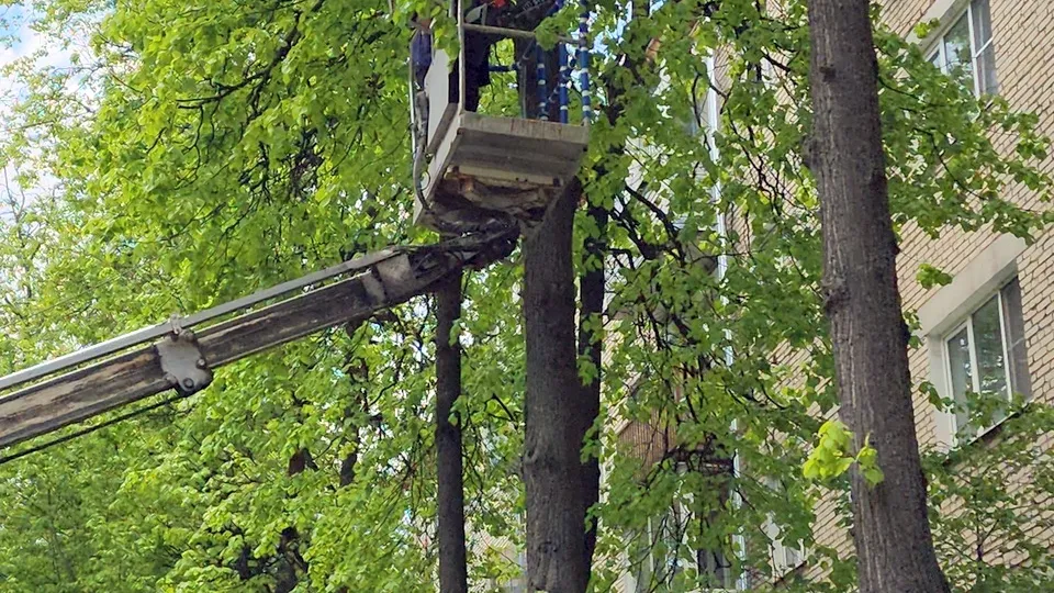 Фото: МедиаБанк Подмосковья/Ольга Шеметова