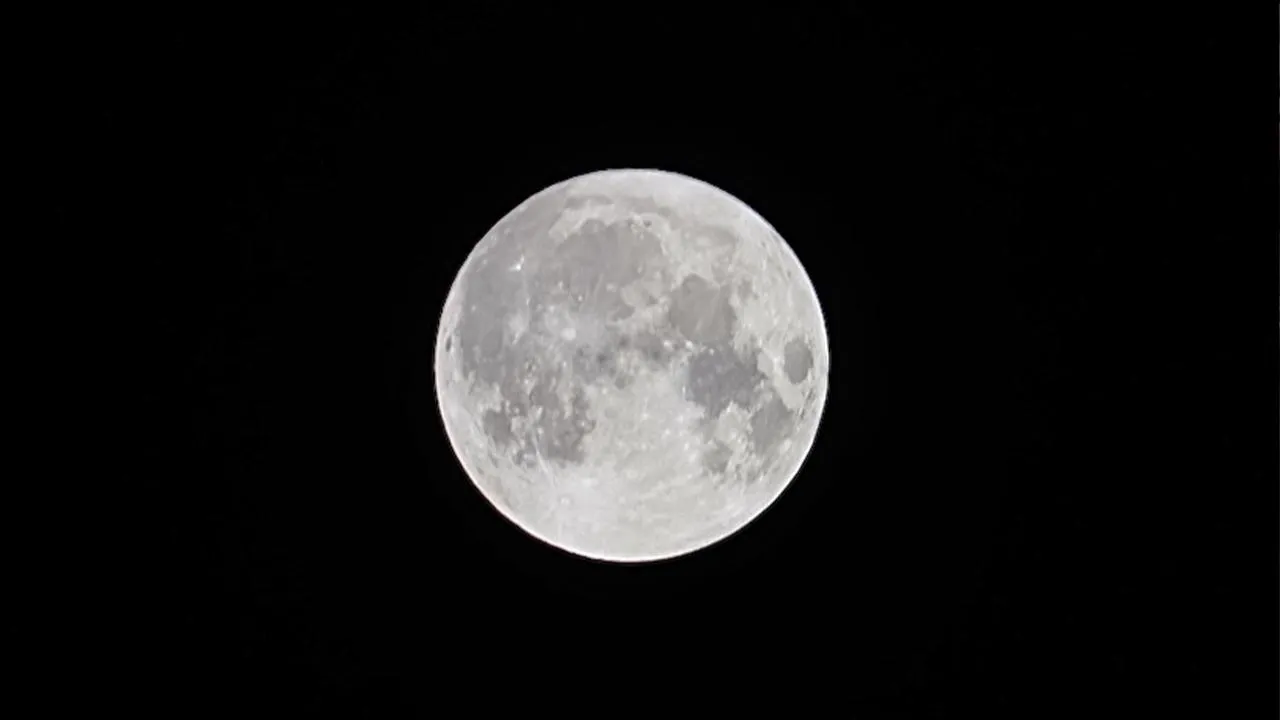 МедиаБанк Подмосковья/Евгения Корытько