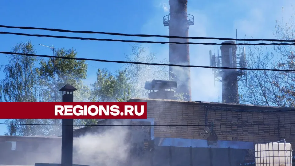 Фото: Дмитрий Зайчиков