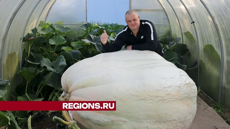 Фото: Александр Дрожжин