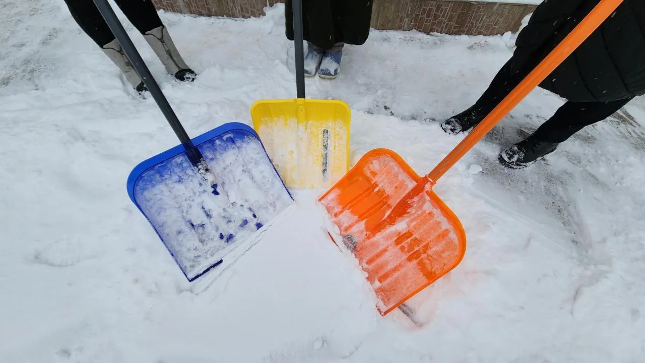 REGIONS/Артем Мишуков