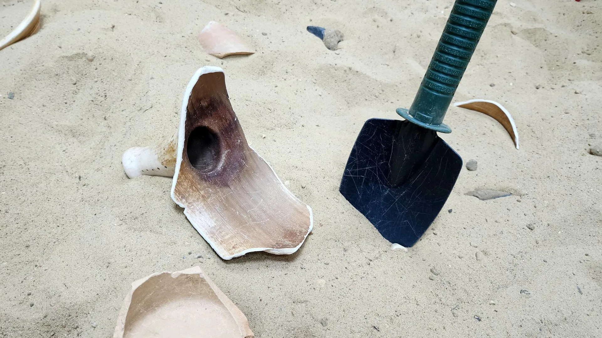 Фото: МедиаБанк Подмосковья/Юлия Унрау