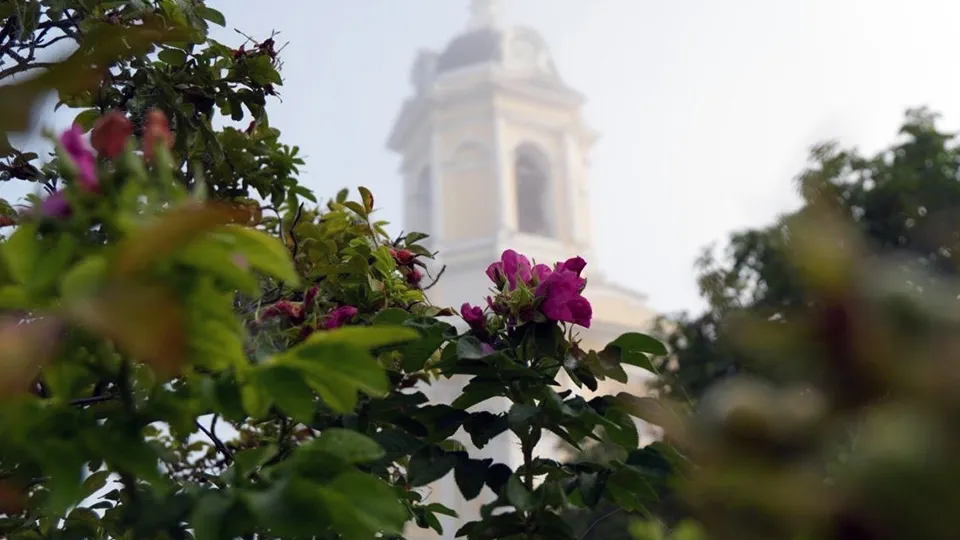 Фото: пресс-служба Администрации г.о. Серпухов