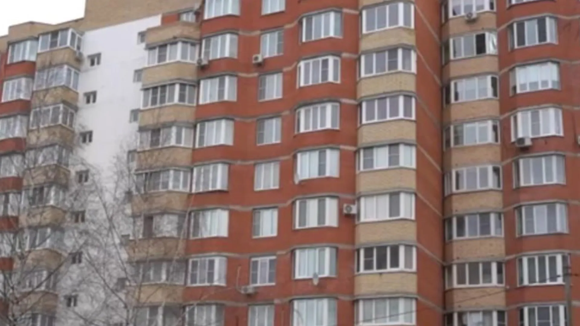 Фото: пресс-служба администрации муниципального округа Шатура