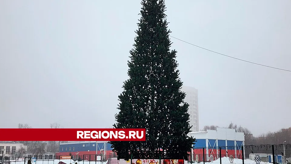 Фото: Роман Савельев