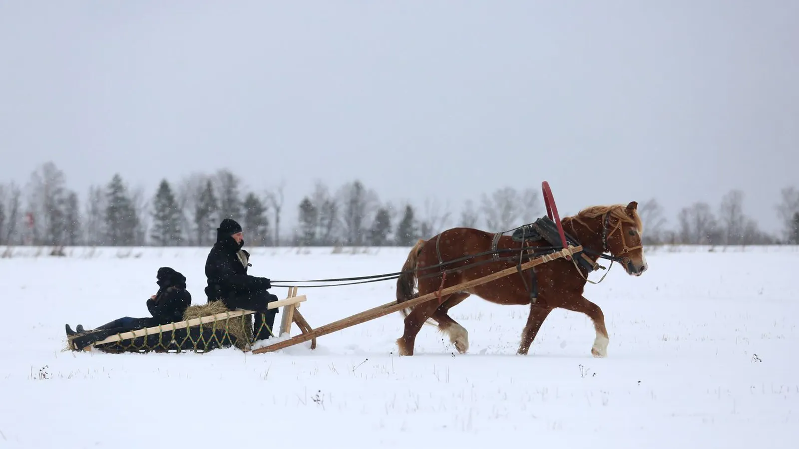 Фото: медиасток.рф