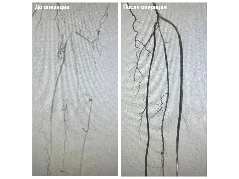 Фото: Министерство здравоохранения Московской области