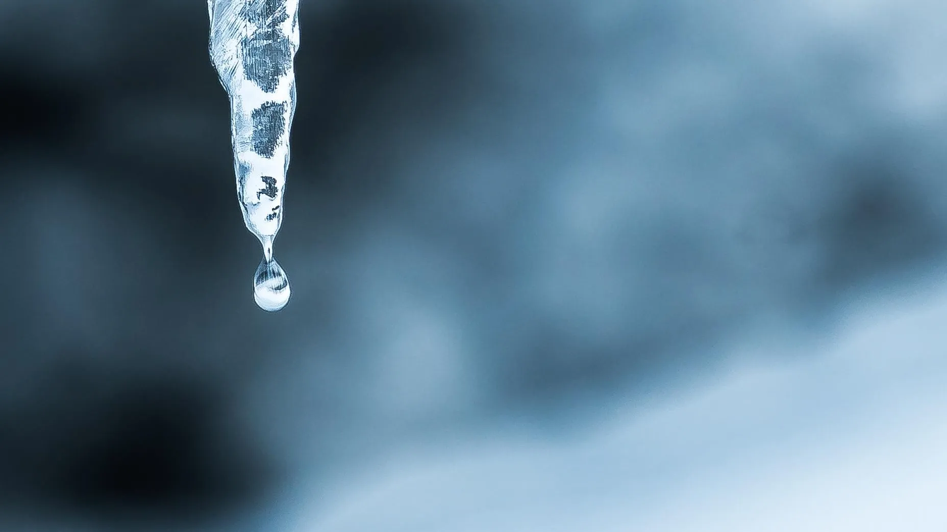 Фото: pxhere.com