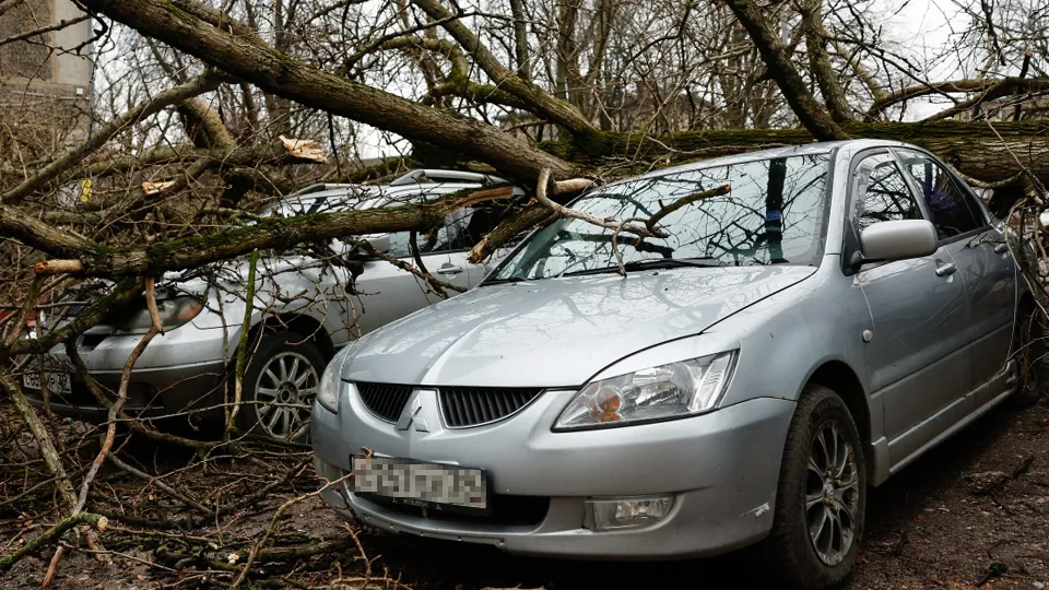 Фото: РИА Новости/Михаил Голенков