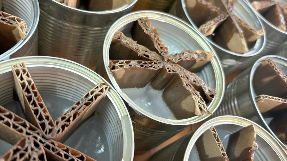 Фото: МедиаБанк Подмосковья/Анастасия Сараева