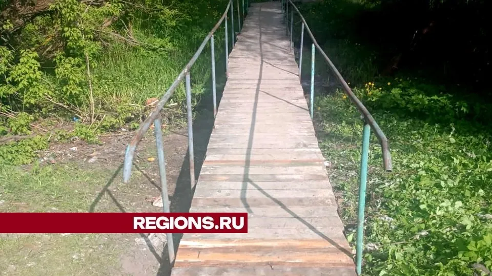 Фото: пресс-служба администрации городского округа Луховицы