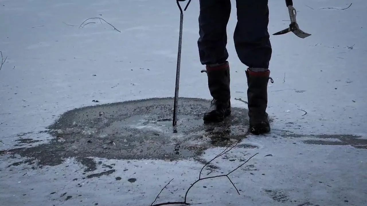 МедиаБанк Подмосковья/Ольга Антонова