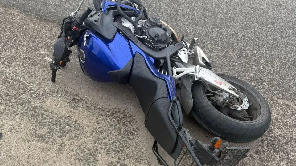 Фото: пресс-служба ГУ МВД России по Московской области