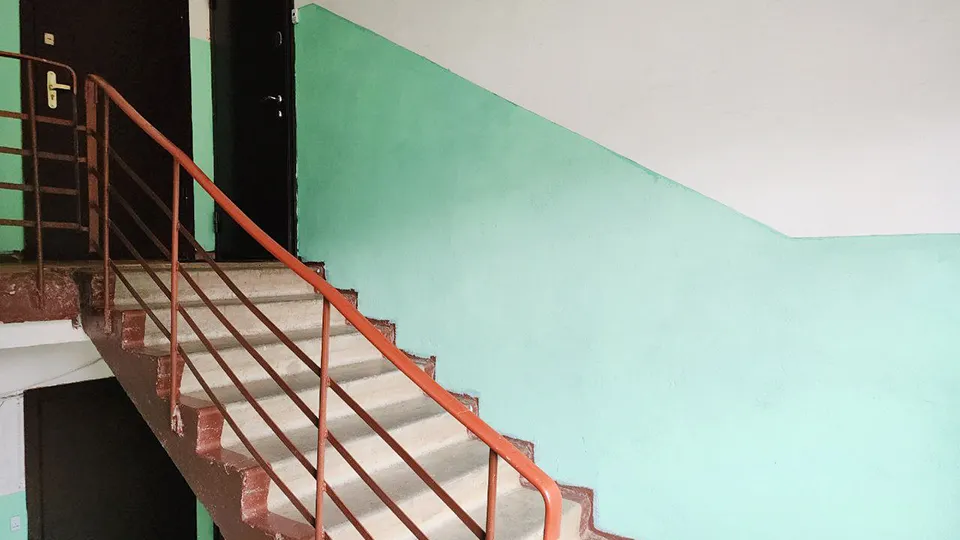 Фото: МедиаБанк Подмосковья/Ирина Матвеева