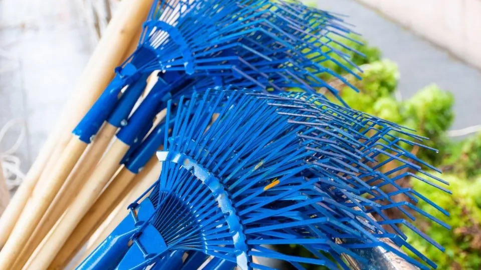 Фото: пресс-служба администрации г.о. Красногорск