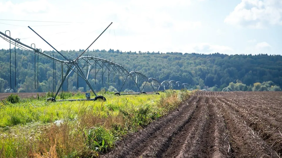 Фото: пресс-служба администрации округа Коломна