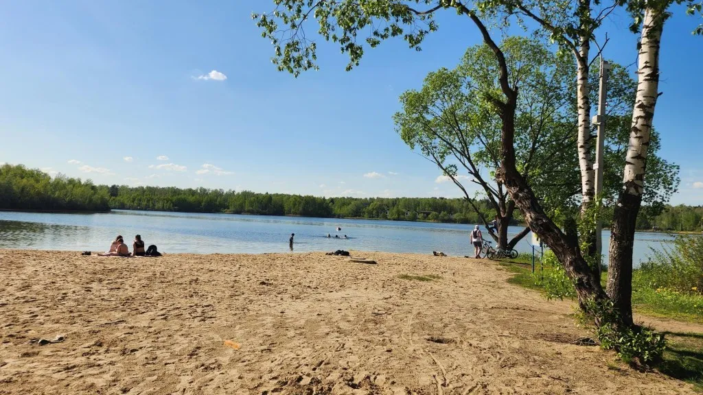 Фото: REGIONS/Наталья Дорошева