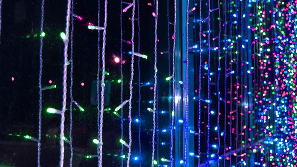 Фото: istockphoto.com/ClaireLucia