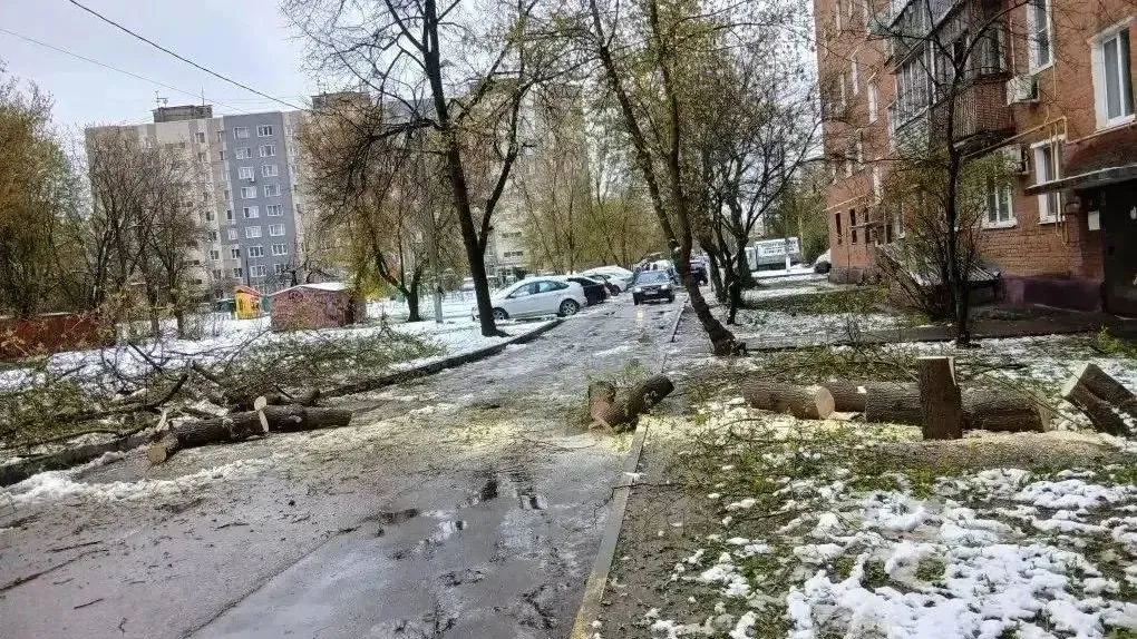 «Службы дойдут до всех!»: три округа Подмосковья борются с последствиями снежного урагана