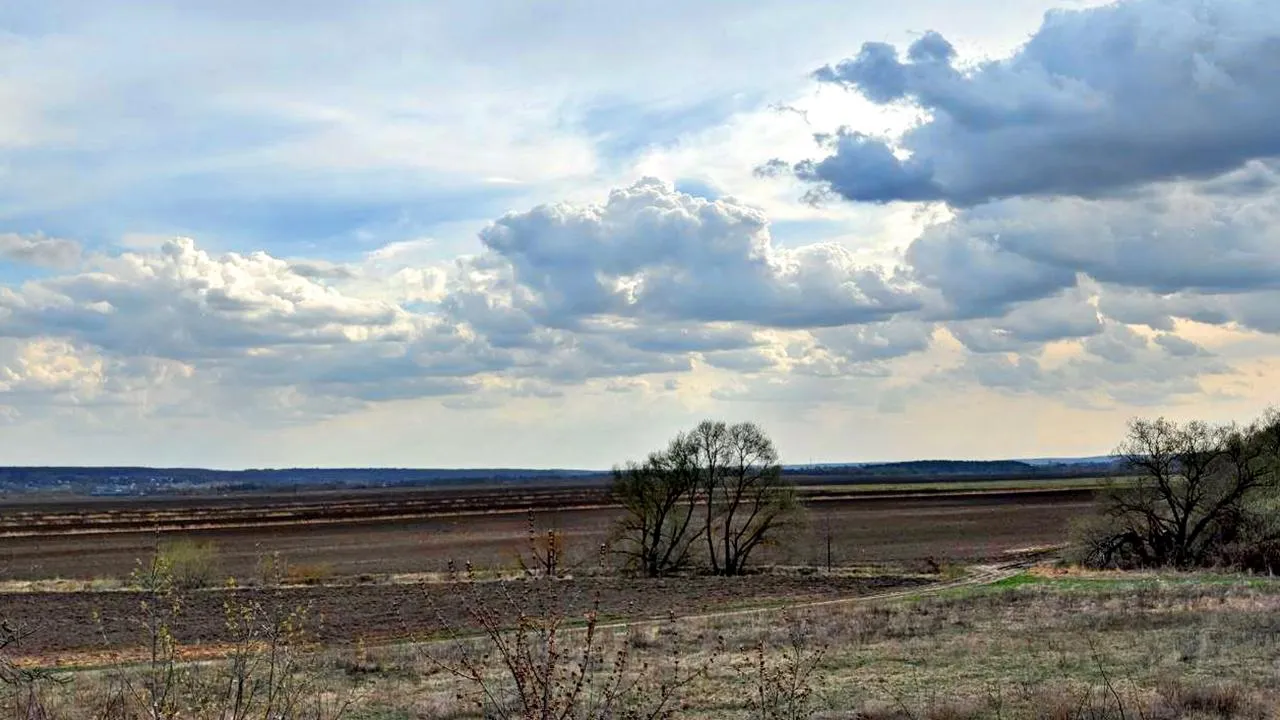 REGIONS/Алексей Селиверстов