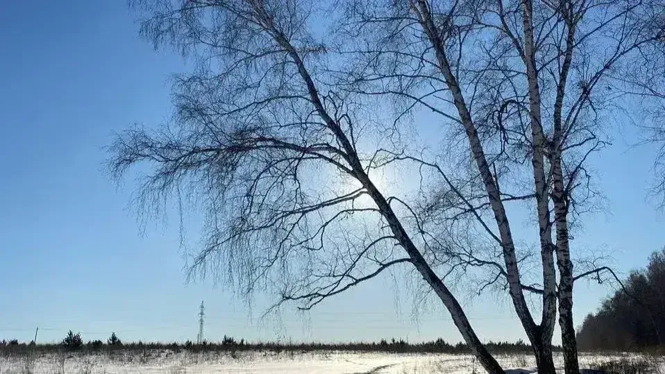 REGIONS/Мария Толстикова