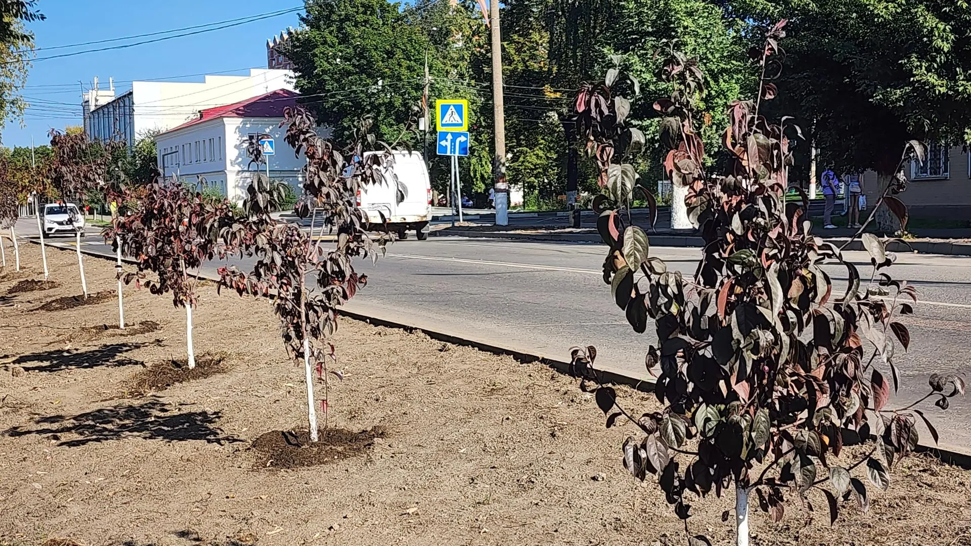 Источник: Алена Притула