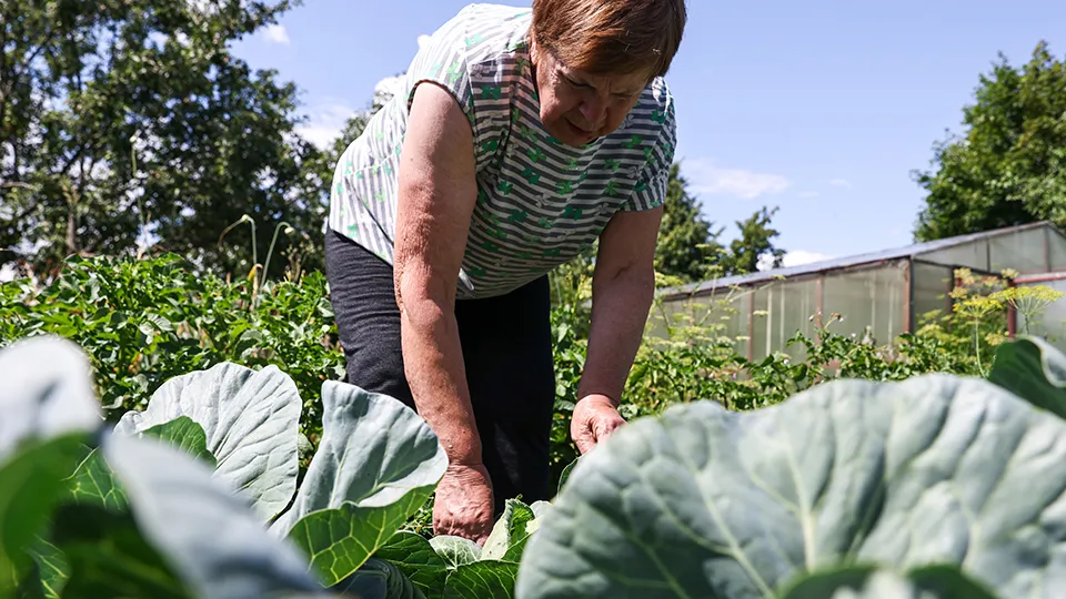 Фото: ТАСС/Александр Рюмин