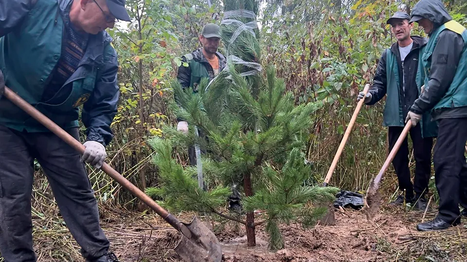 Фото: пресс-служба Администрации г.о. Королев