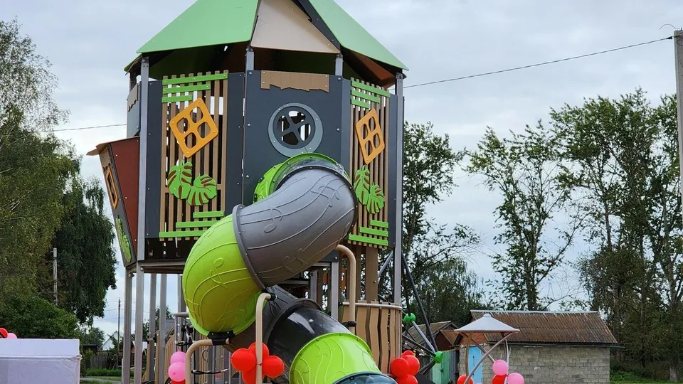 Фото: пресс-служба администрации м.о. Луховицы