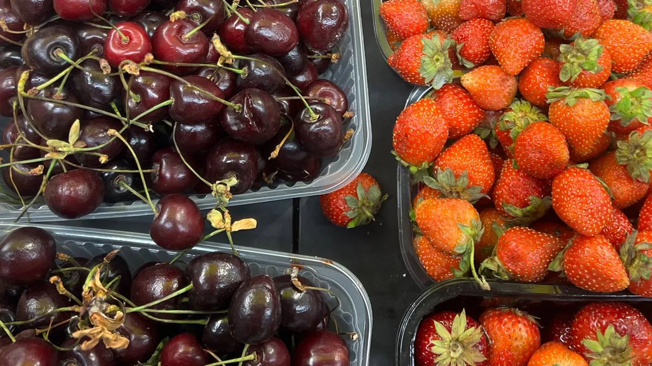 Фото: REGIONS/Татьяна Кордюкова