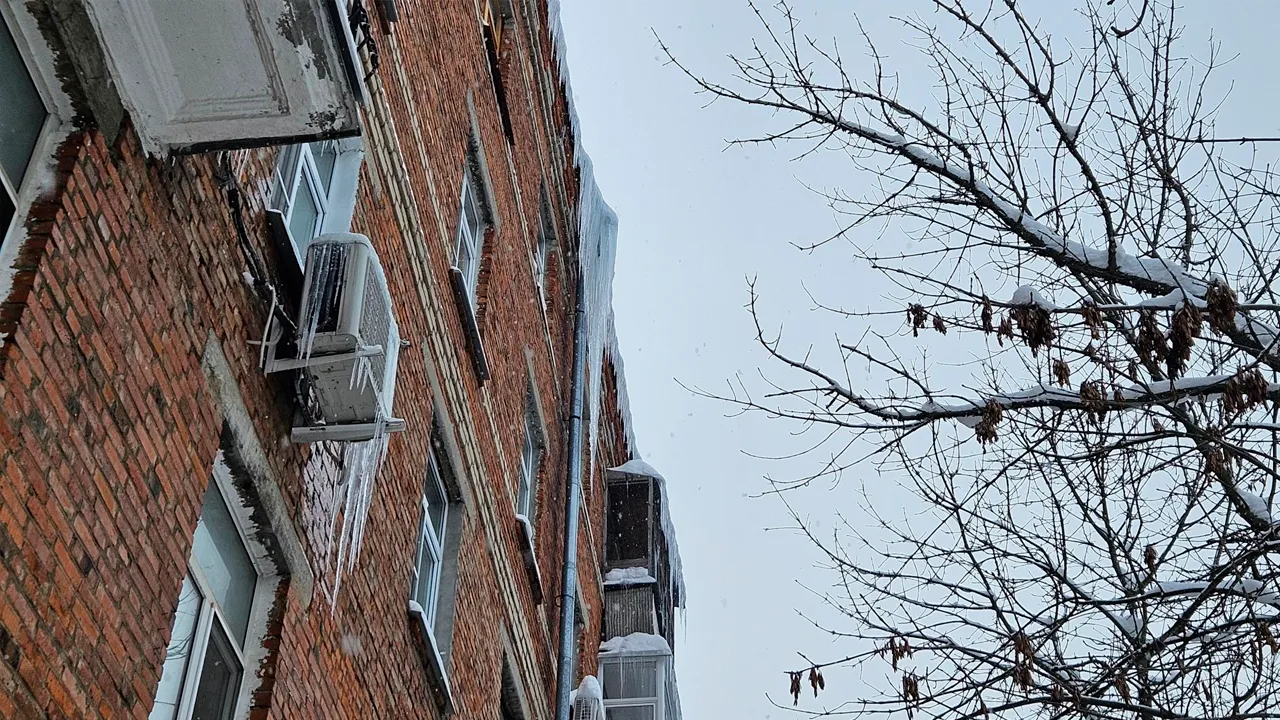 МедиаБанк Подмосковья/Вероника Горбачева