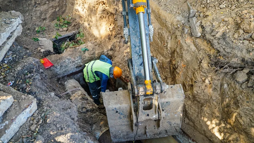 Фото: пресс-служба администрации г.о. Химки