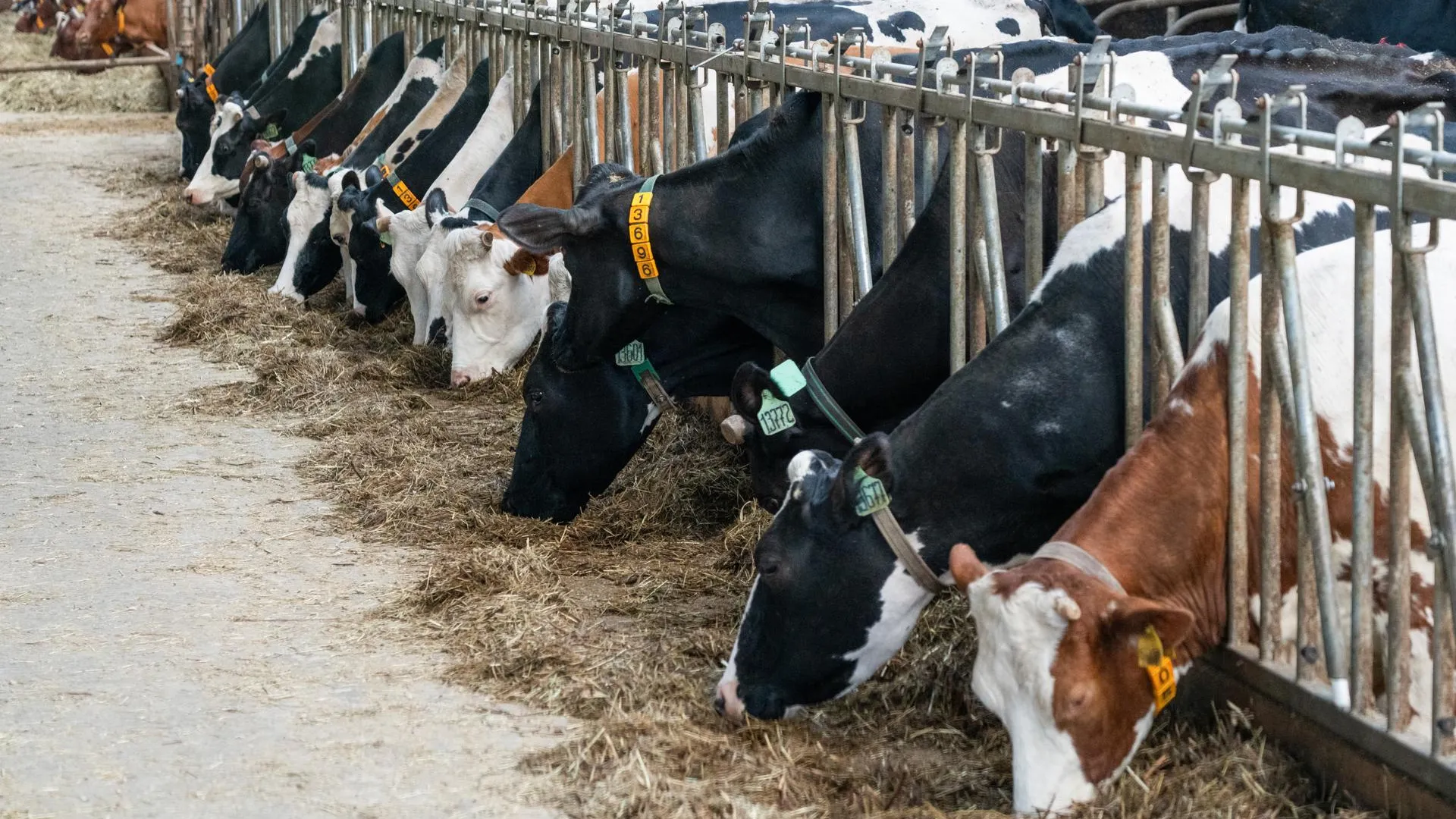 медиасток.рф