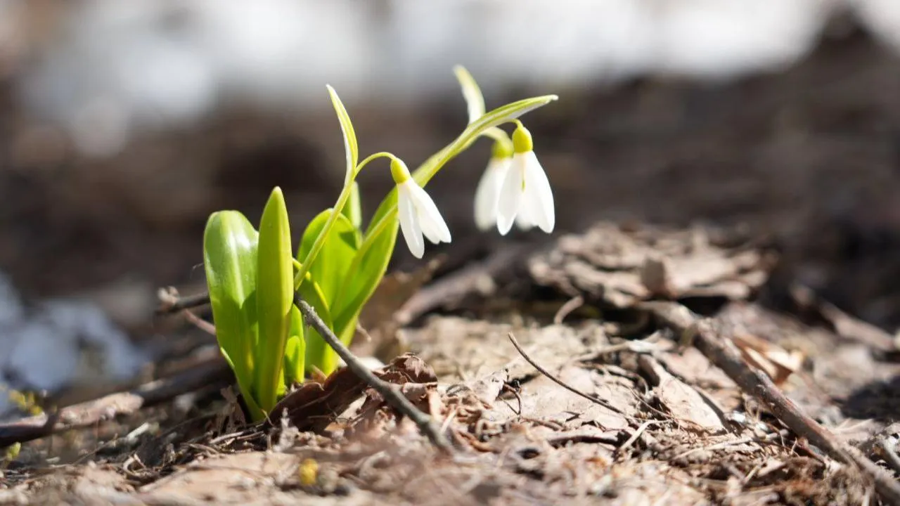 REGIONS/Дарья Леонова