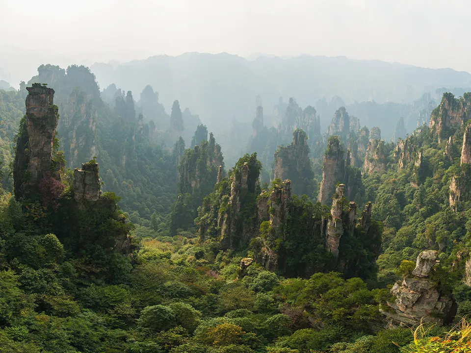 Фото: сommons.wikimedia/chensiyuan