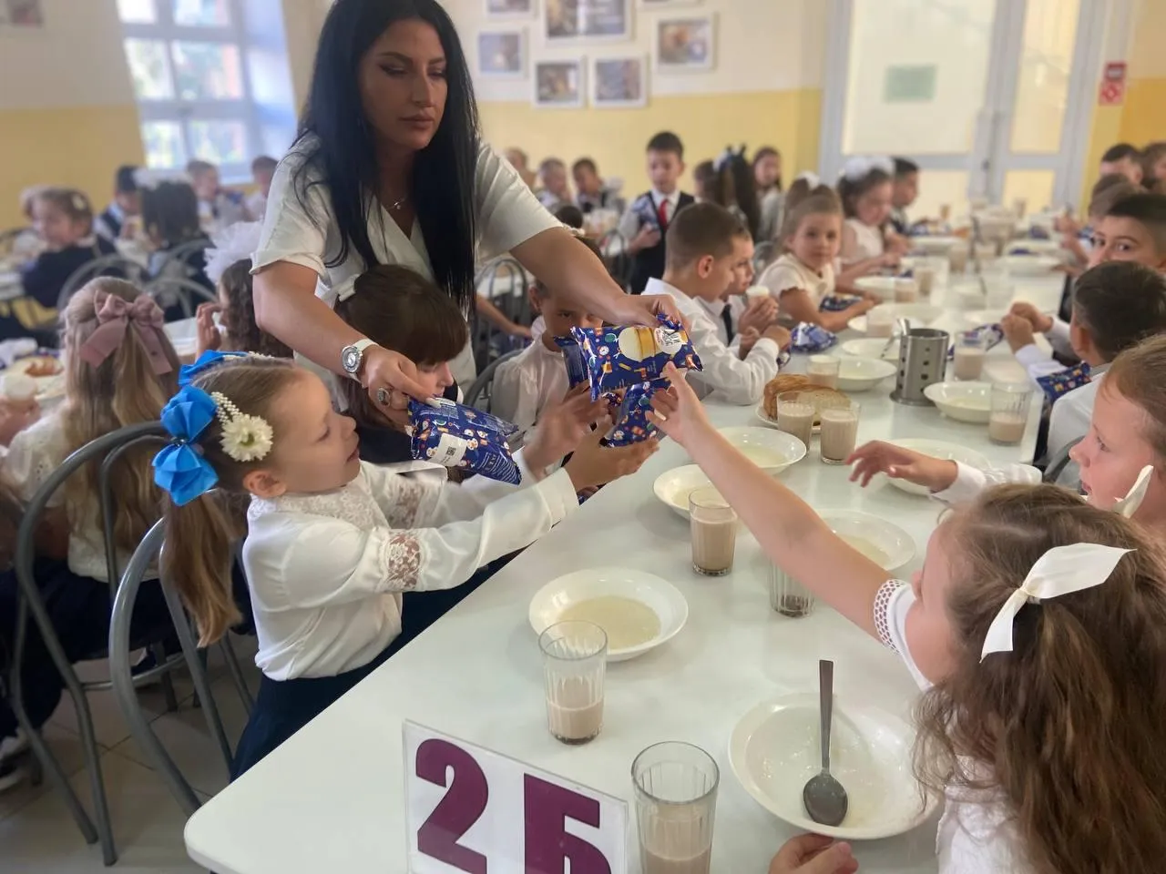 Фото: пресс-служба администрации г. о. Подольск