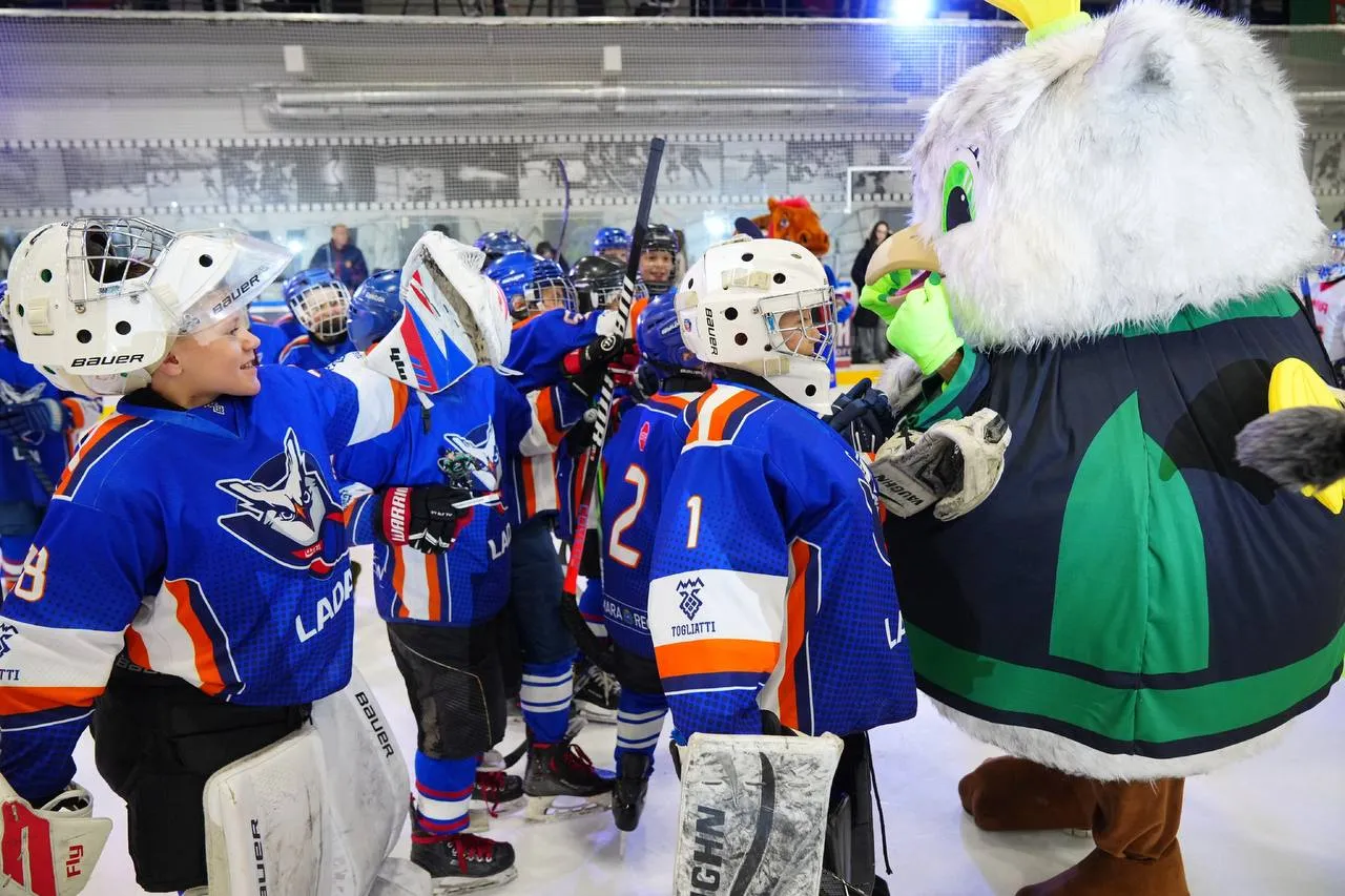 Фото: Пресс-служба Губернатора и Правительства Московской области