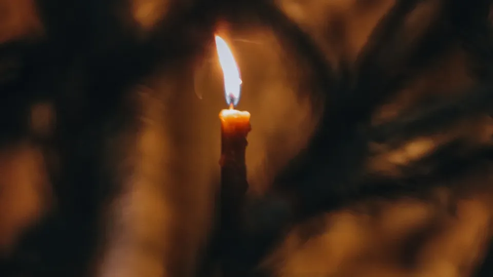 Фото: МедиаБанк Подмосковья/Данила Кирьянов