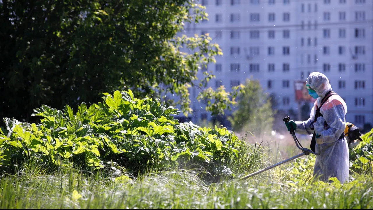 Фото: Евгений Леонов/ТАСС