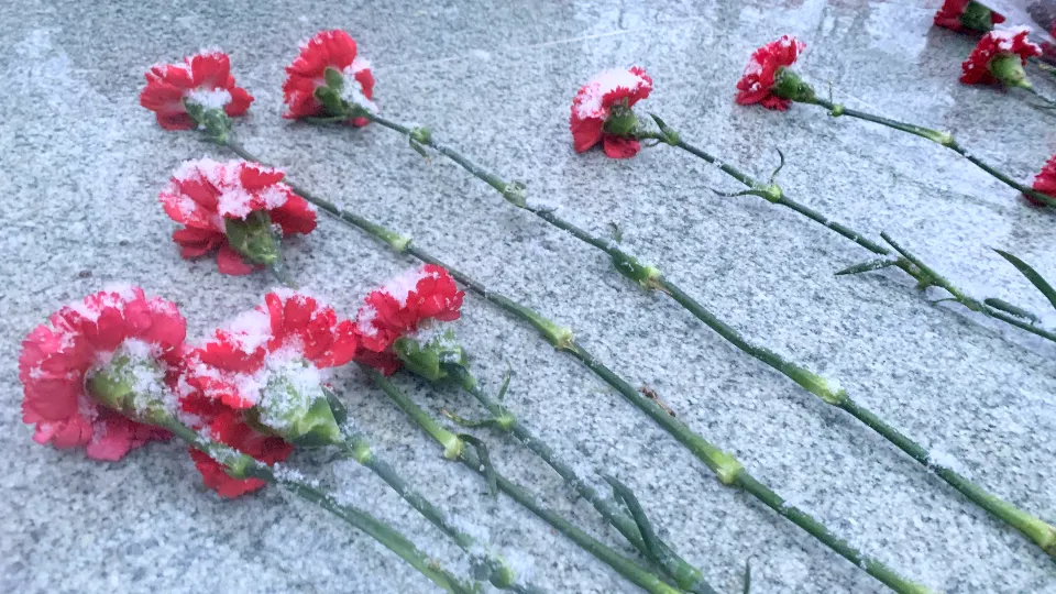 Фото: МедиаБанк Подмосковья/Ирина Мальцева