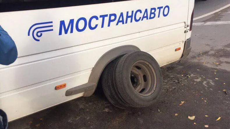 Дарья Малина