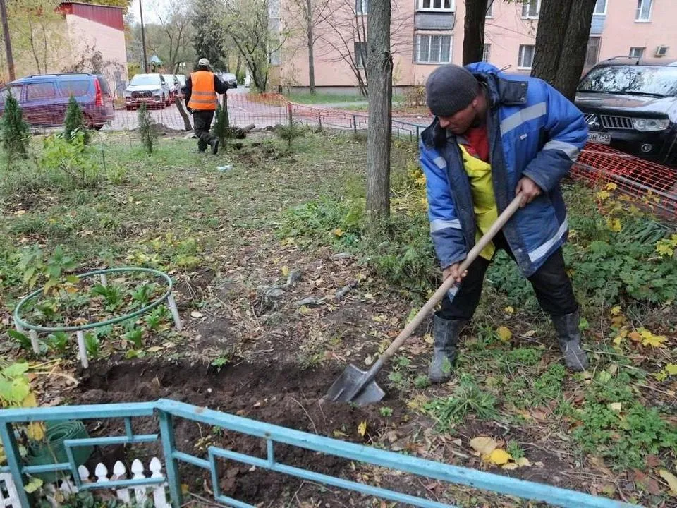 Картинка