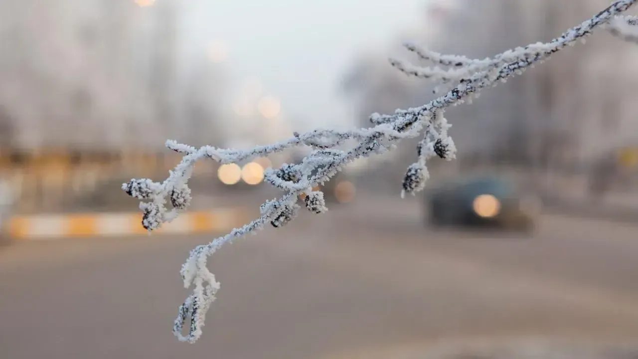 медиасток.рф