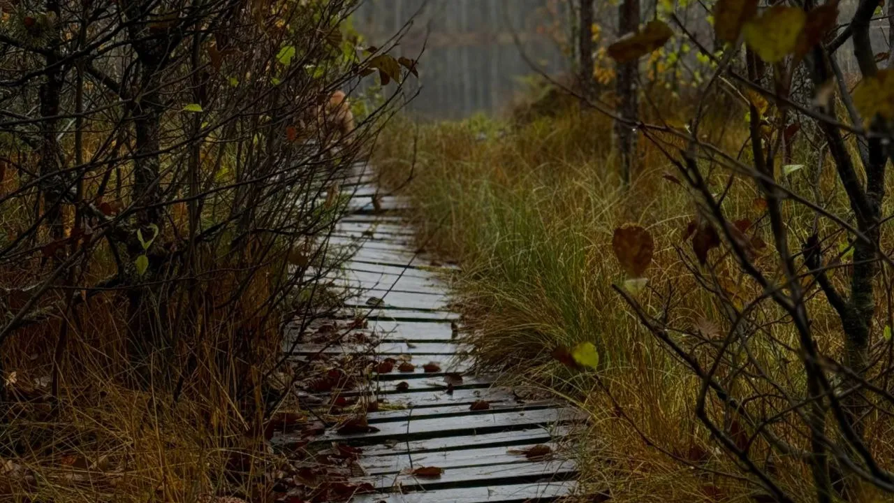 Фото: личный архив Марины Алифановой