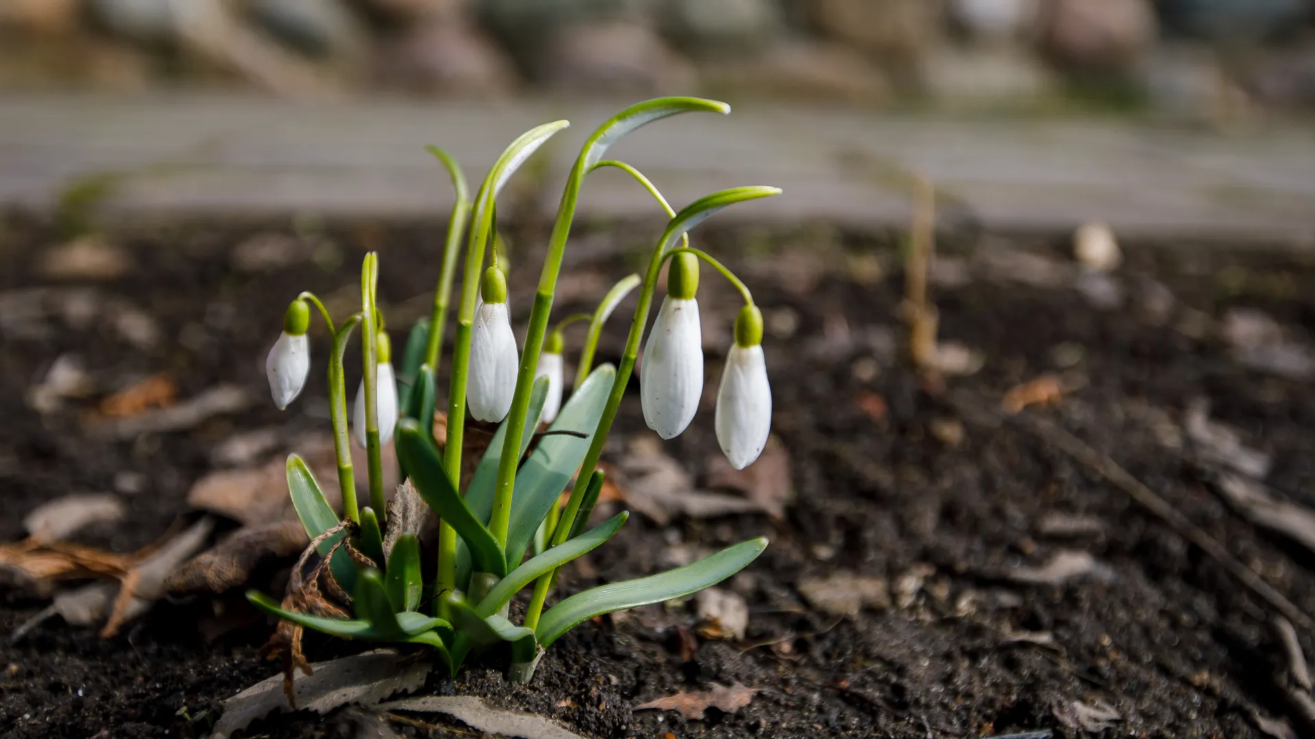 медиасток.рф