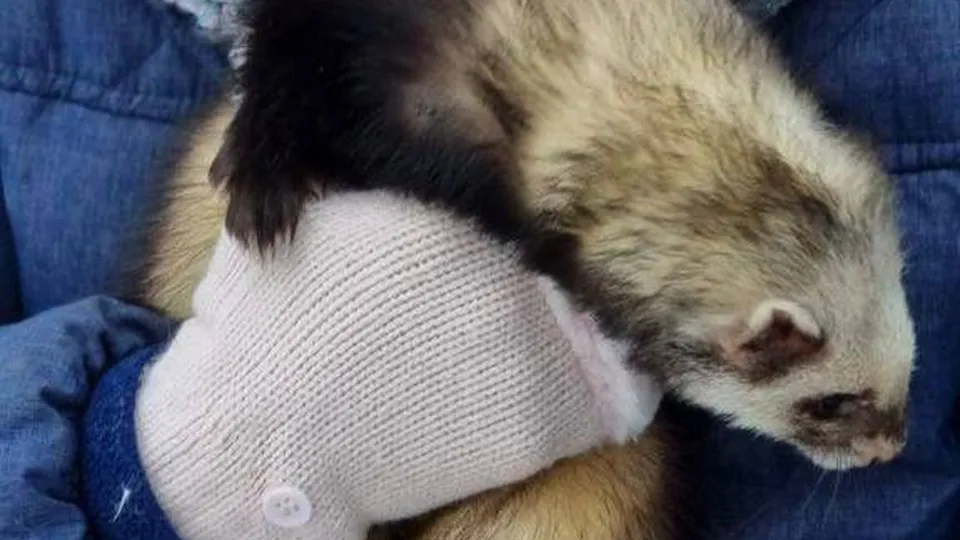 Фото: t.me/discoverypath